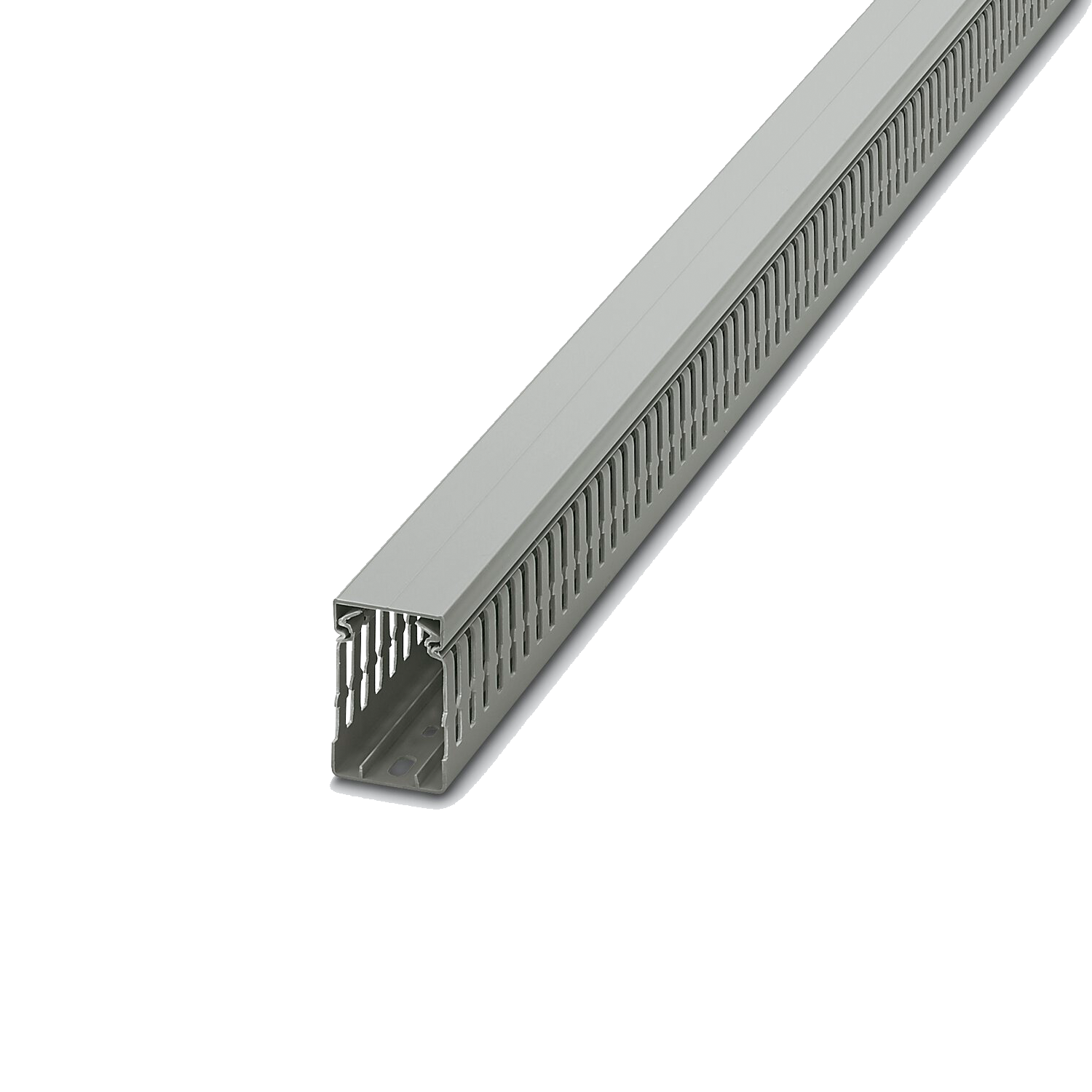 Imagen de DUCTO RANURADO CD 40 X 60 PHOENIX CONTACT